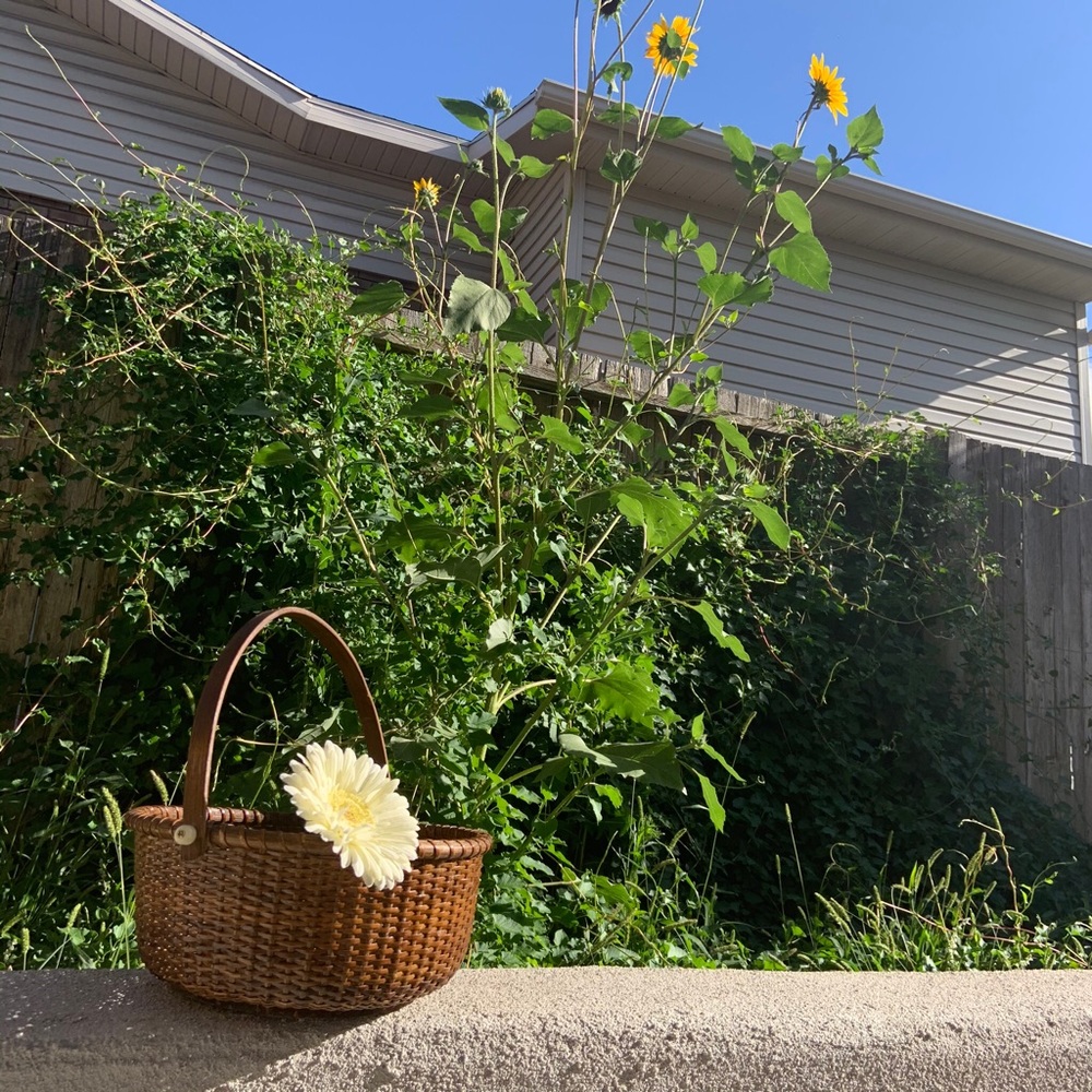 Dark Brown Basket with Round Handle